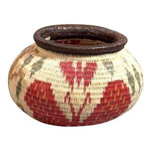 Wounaan Embera Extra Fine Tight Vibrant Butterfly Weaved Basket Rare Rain Forest